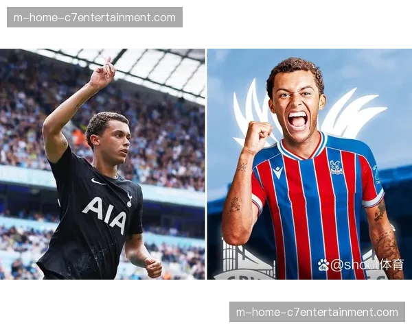 水晶宫约翰逊4000万镑引援 加盟后影响力有限评级C+